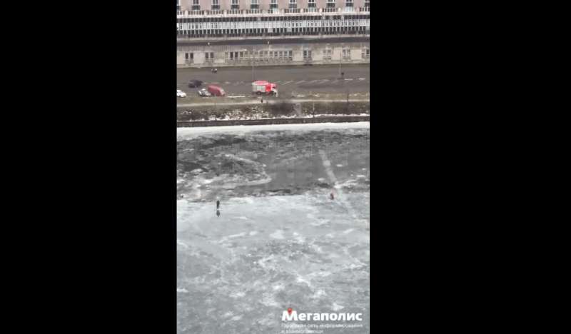 Плюсовая температура и запрет властей не помешали рыбакам выйти на лед Галерной гавани