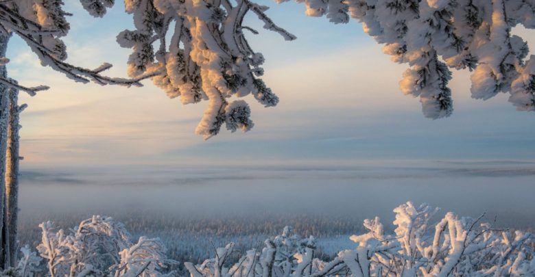 10 января температура на востоке Ленинградской области может опуститься до -28 градусов. Об этом…