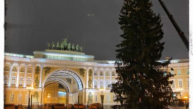 На Дворцовой площади разбирают главную новогоднюю ёлку
