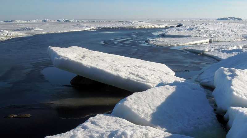 На Финском заливе в районе Лахты обнаружили вмёрзшее в лёд тело мужчины