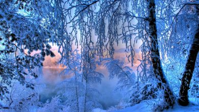 МЧС по Ленинградской области 6 февраля предупреждает о надвигающихся морозах в регионе и опасной…