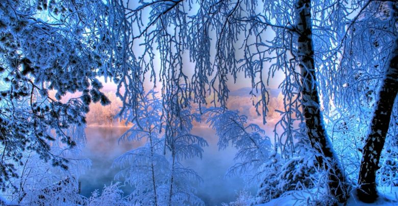 МЧС по Ленинградской области 6 февраля предупреждает о надвигающихся морозах в регионе и опасной…
