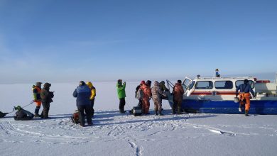 В Ломоносовском районе Ленобласти 14 рыбаков оказались на оторвавшейся льдине в Финском заливе. Они…