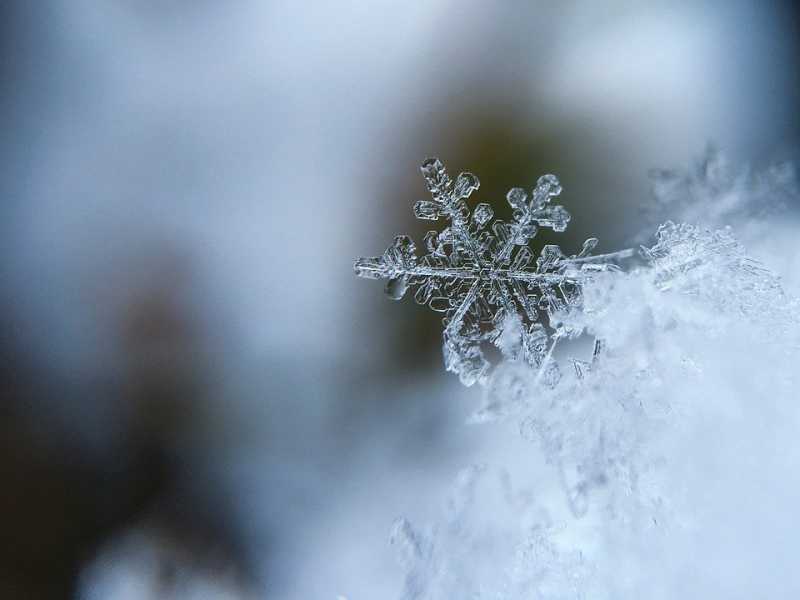 В Ленобласти ночью похолодает до -25 градусов, возможен снег