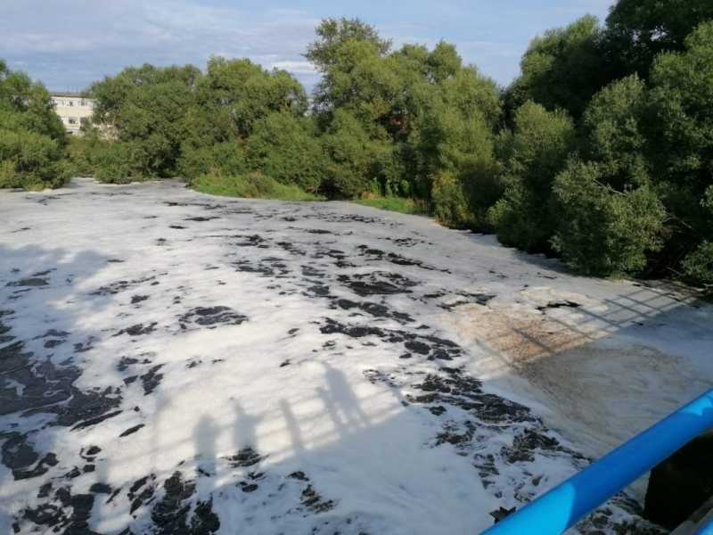 Коммунальщики Гатчинского района заплатят 6 млн рублей за загрязнение реки Ижора  
