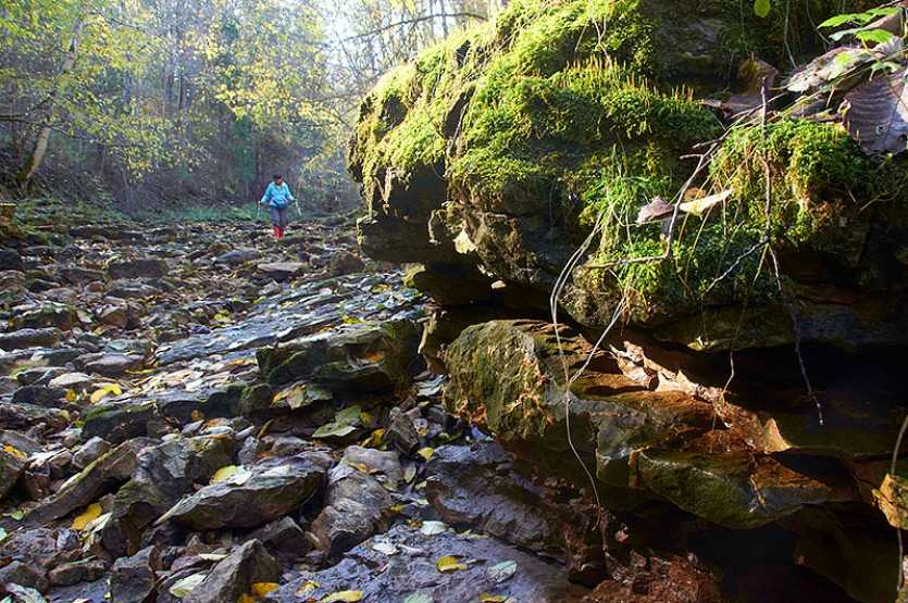 Рагуша бокситогорский район фото