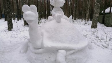 В поселке Комарово курортного района появились снежные львёнок и черепаха из известного мультфильма. Снежные…