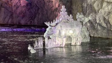 В горном парке «Рускеала» возвели невероятные ледяные скульптуры на тему природы Карелии. Подсмотреть на…