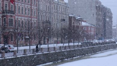 В Петербурге 18 марта снова прошел сильный снегопад, несмотря на календарную весну. По прогнозу…