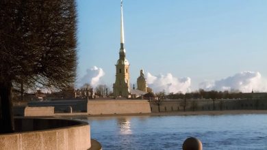 По прогнозу синоптиков, к концу следующей недели в Петербург придет весенняя погода. К воскресенью,…