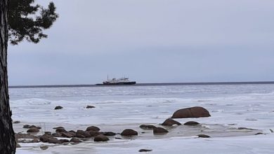 94 рыбака дрейфуют на льдине у деревни Старое Гарколово Кингисеппского района. На помощь отправлены…