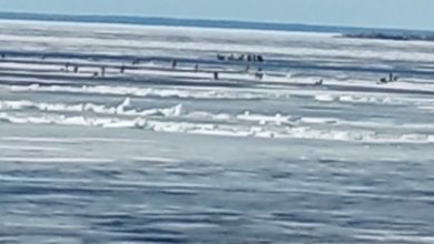 На южной дамбе оторвало льдину с рыбаками, подушку для спасения им вызвали