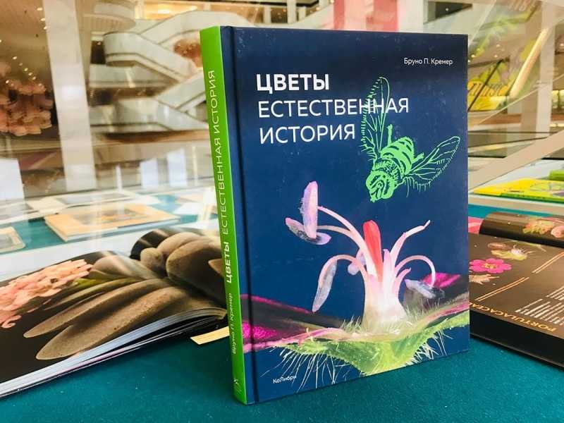 Выставка «Цветочное настроение» 2021, Санкт-Петербург — дата и место проведения, программа мероприятия.