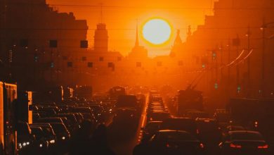Закат над Невским проспектом. Фото: trammy_photos