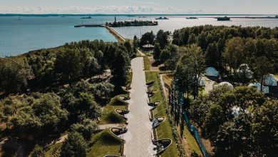 Музейно-исторический парк «Остров фортов» В Кронштадте этим летом открылось историко-культурное пространство «Остров фортов», посвященное…