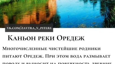 6 мест под Петербургом для любителей палеонтологии и древностей