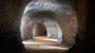 Корповские пещеры Посреди урочища под мистическим названием «Темные ворота», в лесной глуши, можно найти…