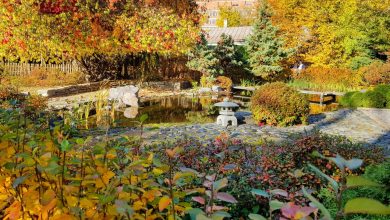 9 мест, где стоит устроить осеннюю фотосессию 1. Ботанический сад Сад зелёного музея на…