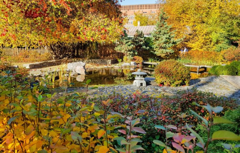 9 мест, где стоит устроить осеннюю фотосессию 1. Ботанический сад Сад зелёного музея на…