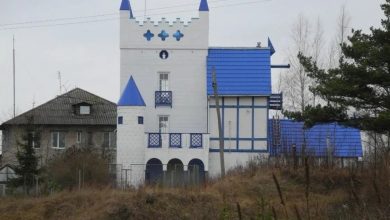 Замок с башенками возле птицефабрики в Синявино Удивительный бело-голубой замок расположен рядом с облезлыми…