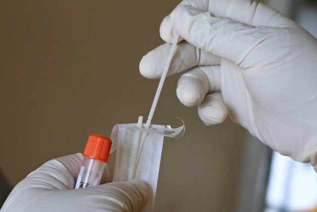 В Петербурге за сутки тест на коронавирус сдали 18,6 тысяч человек |
