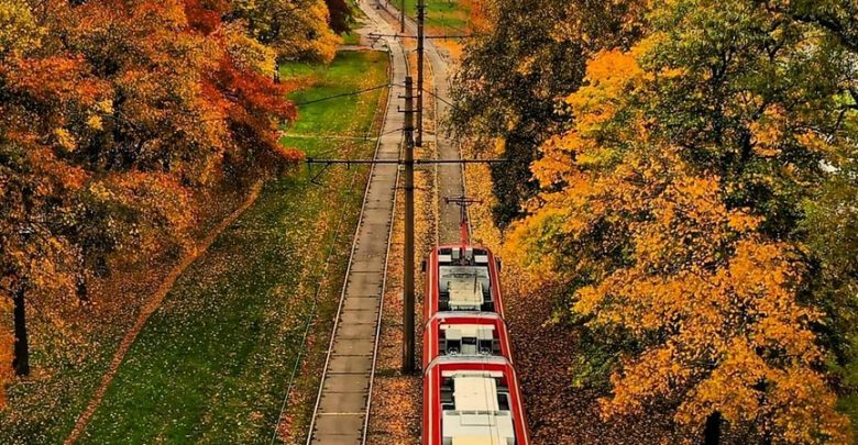 Осенний трамвайчик. Фото: karlson_sergei