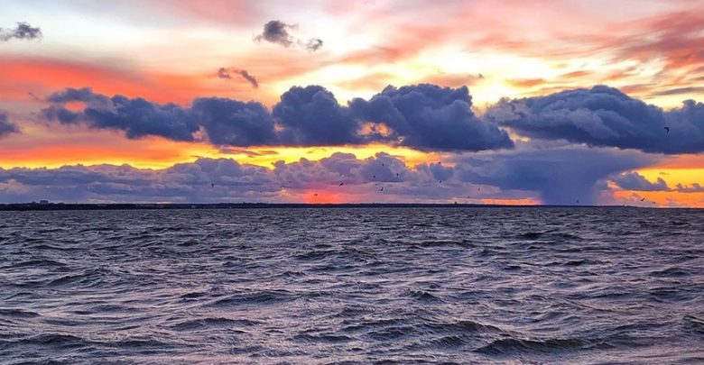 Закат над Финским заливом Фото: nikitina_marinka