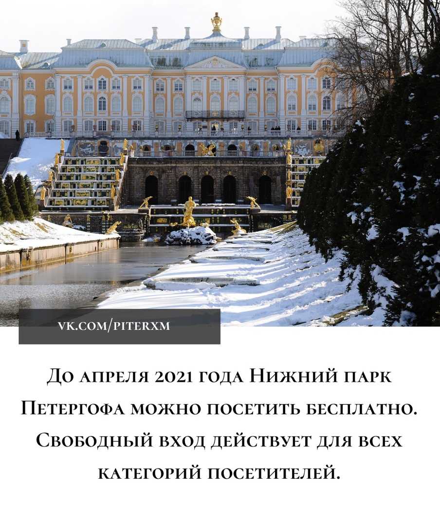 Петергоф в декабре. Дворцы Петергофа зима. Зимний дворец Петергоф Нижний парк зимой. Дворцово-парковый ансамбль Петергоф зимой. Петергоф большой дворец зимой.