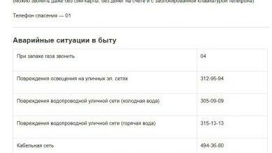 Полезные номера телефонов в Санкт-Петербурге