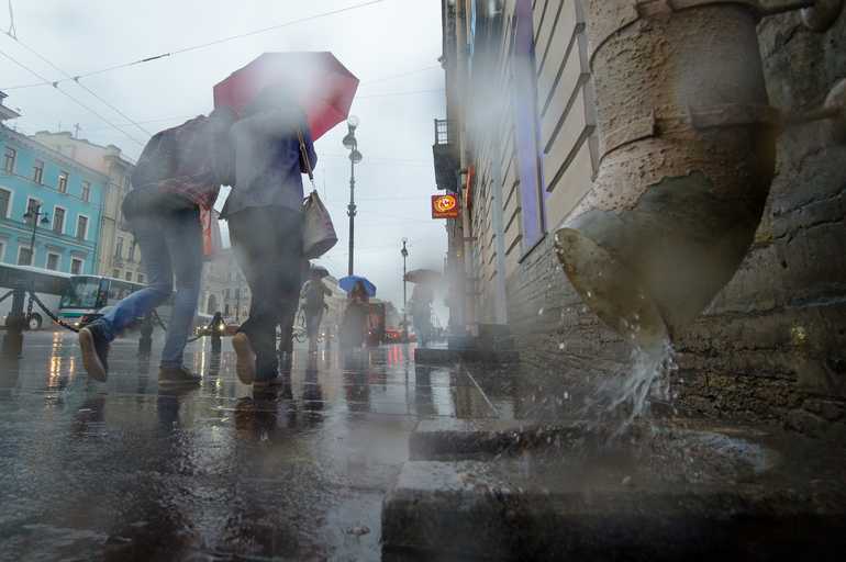 Петербуржцев предупредили о дожде и сильном ветре в пятницу