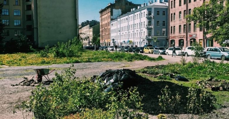 Петербуржцы высадили 120 кустарников на пустыре на углу Сытнинской и Кронверкской улиц