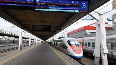 Между Москвой и Санкт-Петербургом в дни Евро-2020 будут ходить дополнительные «Сапсаны» — РЖД