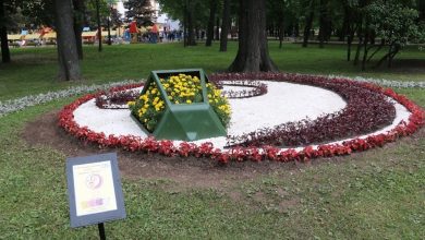 В День России, 12 июня, в Александровском саду откроется фестиваль цветов В этом году…