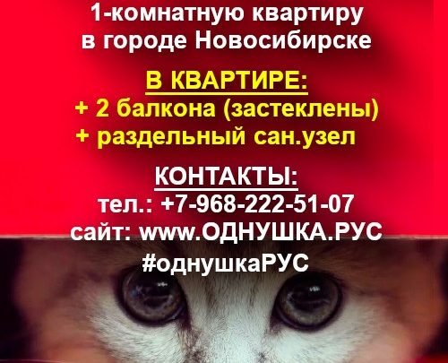 #ПРОДАМ (или #ОБМЕНЯЮ на #СанктПетербург) 1-комнатную #КВАРТИРУ с 2-мя балконами и раздельным сан.узлом в…