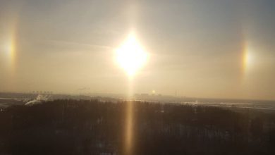 Первое в этом году солнечное гало над Петербургом. Фото: marinapodgaichenko