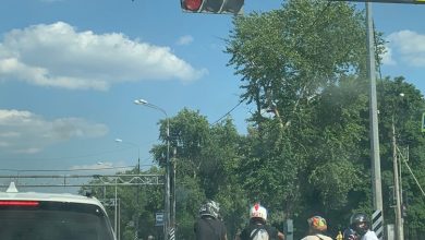 Подростки лет 12-14 гоняют на мопедах на Петергофском шоссе, правил ПДД судя по всему…