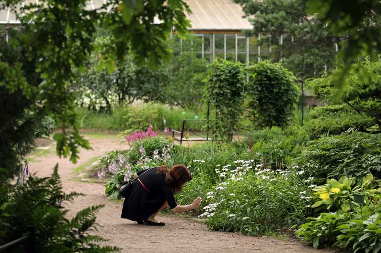 Ботанический сад временно закроет оранжереи из-за жары