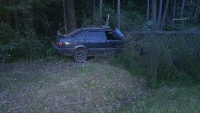 22 июня в 23:00 на автодороге Южное полукольцо, что в Ломоносовском районе, водитель автомобиля…