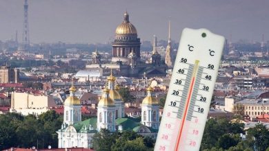 В Петербурге сегодня, как на курорте: температура воздуха +29, температура воды +21. Синоптики предрекают…