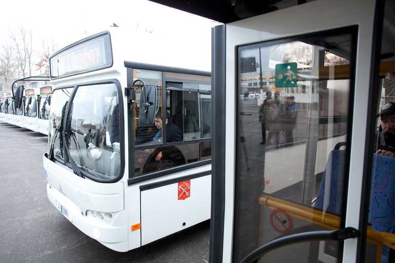 Петербургских перевозчиков ждут новые условия обслуживания автобусных маршрутов