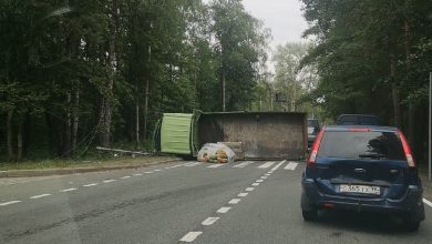 На Приморском шоссе в районе посёлка Серово в сторону Приморска грузовик снес столб. На…