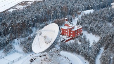 Радиоастрономическая обсерватория «Светлое», Ленинградская область. Координаты: , Фото: