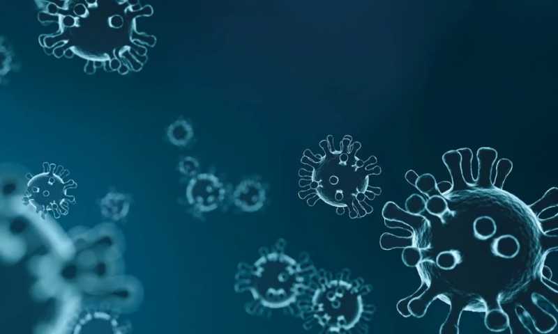 Ученый: возможно появление устойчивых к антителам штаммов коронавируса