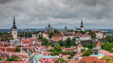 Посольство Эстонии заявило, что россиянам, привитым вакциной «Спутник V», разрешён въезд в страну