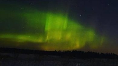 В Ленинградской области снова ожидают северное сияние По прогнозу основательницы Ассоциации охотников за северным…