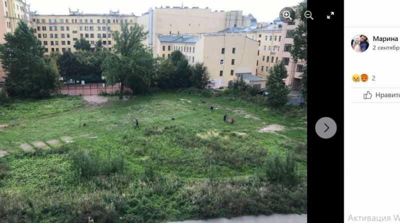 На Петроградской стороне в Петербурге рабочие выкосили Общественный сад |