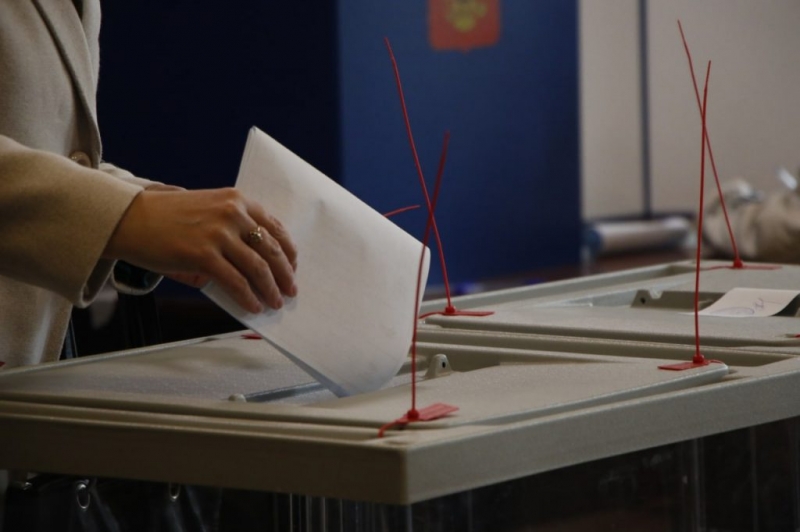 К 12:00 воскресенья явка на выборы в парламент Петербурга - 21,8%