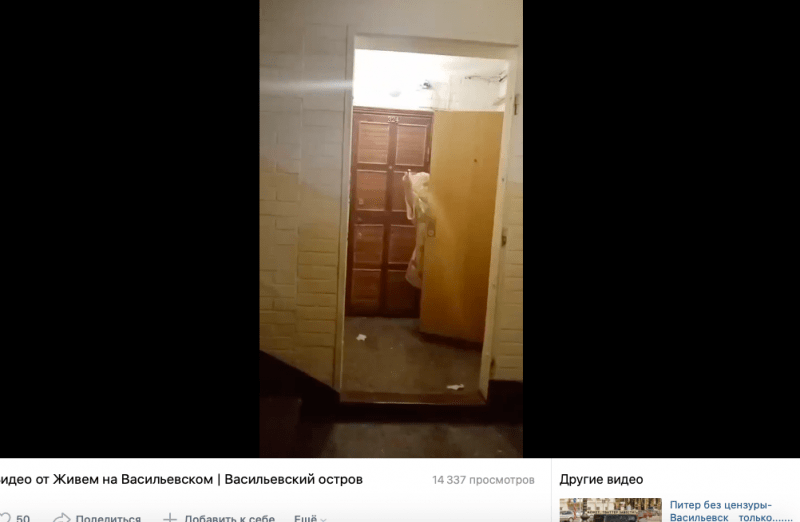 "Встречает" газовым баллончиком, плюется и обзывается: на Васильевском старушка 30 лет отравляет жизнь соседям