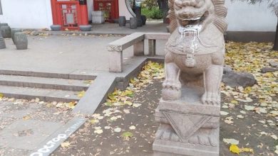 Какие-то вандалы изуродовали скульптуры львов в Китайском сквере. Чем они им помешали?🤷‍️