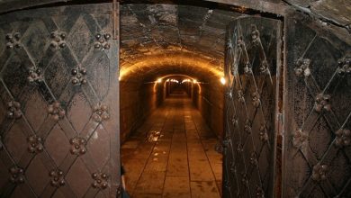 Подземелья Санкт-Петербурга — 14 тайных ходов Санкт-Петербург славится загадочными и таинственными местами, обросшими человеческими…